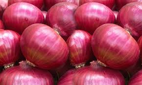 Wholesale Natural Fresh Non Peeled Red Onion Export quality PLEASE DO CONTACT US VIA WhatsApp.....