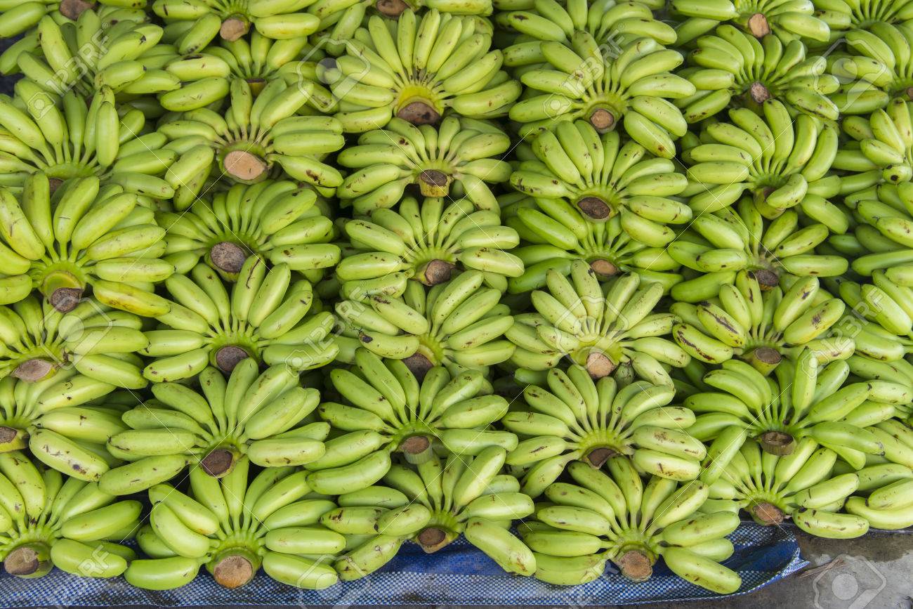 Wholesale Fresh Long Green Cavendish Banana for Export PLEASE DO CONTACT US FOR BEST OFFER WhatsApp.....