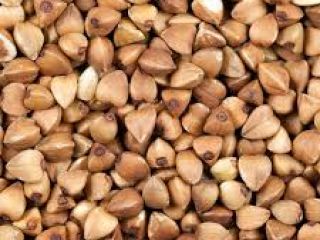 we have buckwheat for sale at an affordable price