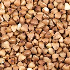 we have buckwheat for sale at an affordable price if interest