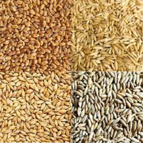 we have barley for sale at an affordable price if interest