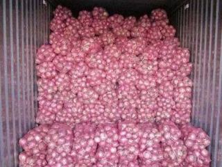 we have fresh harvest of red and yellow onions