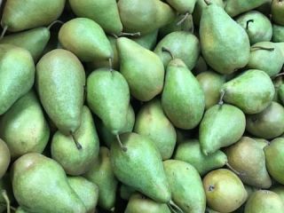 Xenia pears