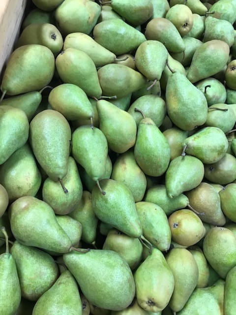 Xenia pears