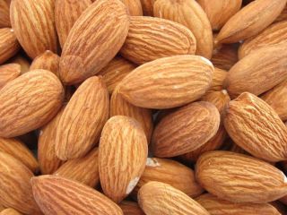 Premium quality Californian Almond Nuts Price / Almond Kernel