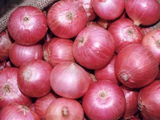 China Onion Prices, Onions In Bulk, Yellow Holland Onions