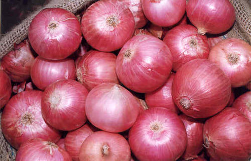 China Onion Prices, Onions In Bulk, Yellow Holland Onions PLEASE DO CONTACT US FOR BEST OFFER WhatsApp.....