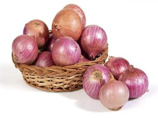 Red Onions/Good quality at cheap price (Red and Yellow