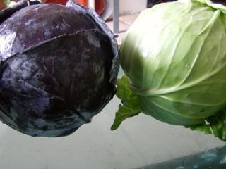 Green Cabbage Purple Cabbage With Good Quality for sale