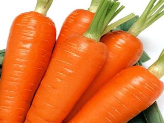 First of all, carrots are fiber, which creates a