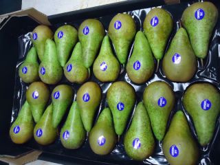we have a fresh conference pear from the Netherlands