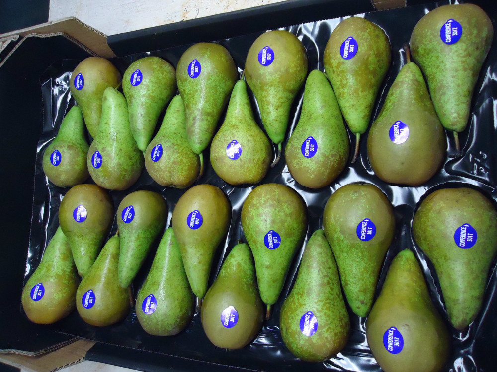 we have a fresh conference pear from the Netherlands available for sale by e-mail or WhatsApp on