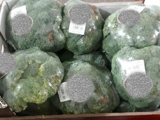 BROCCOLI FILMED / BROCCOLI IN ICE - 10*500g, Packaging