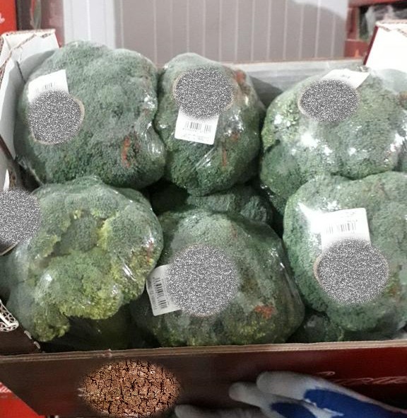 BROCCOLI FILMED / BROCCOLI IN ICE - 10*500g, Packaging : 5 kg box