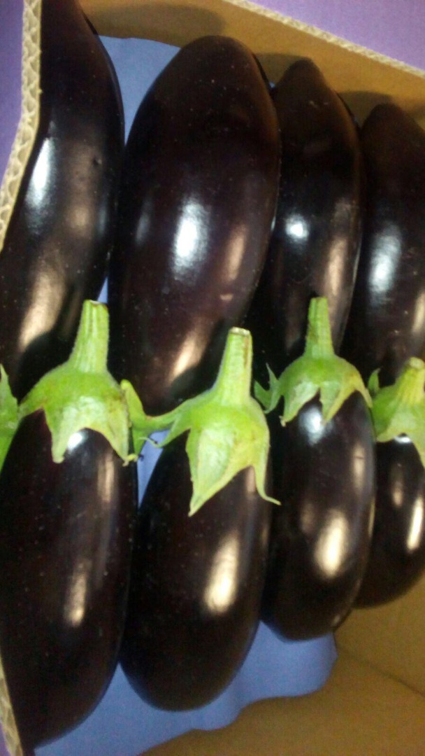 LONG EGGPLANTS / LONG EGGPLANTS FLOW PACK – carton box 5KG