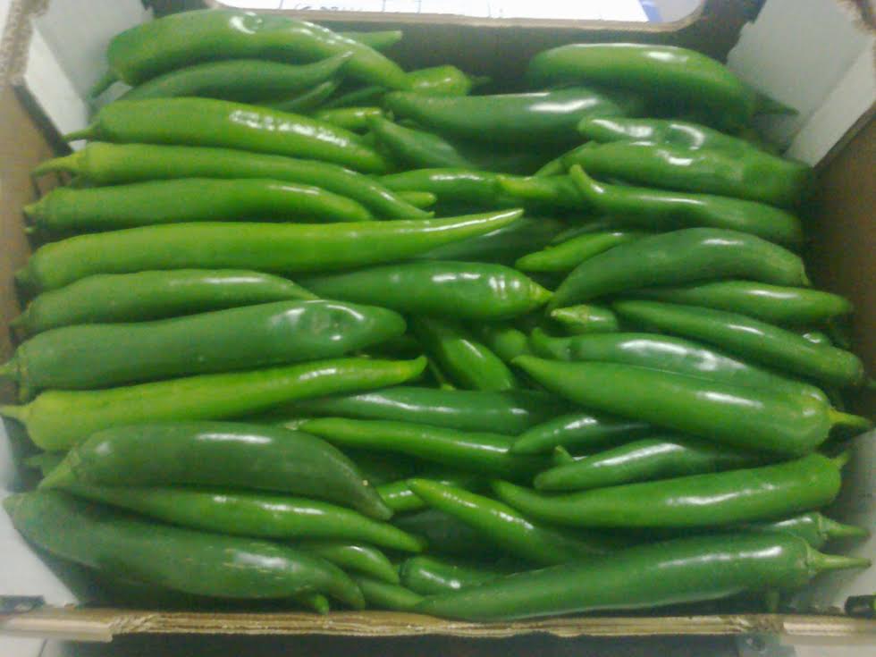 RED / GREEN HOT PEPPER(CHILI) –without caliber – carton box 4 KG - origin Morocco