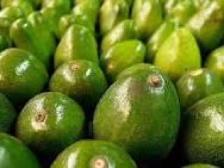 Great avocados .. great flavor .. great color and
