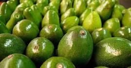 Great avocados .