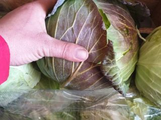 FIA GOGOT FRUIT ofera o gama larga de legume