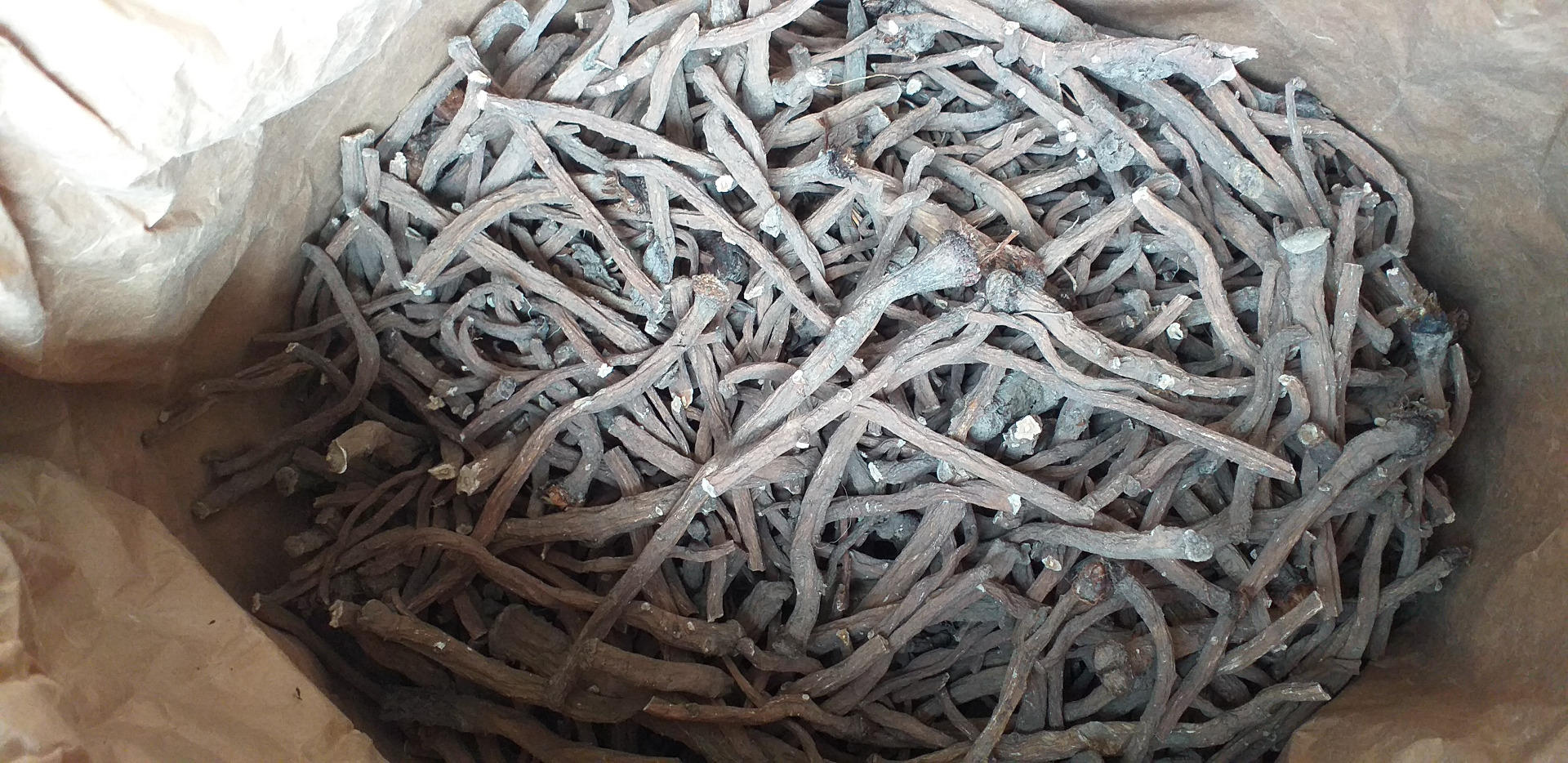 I will sell dandelion root (dry) about 8000 kg