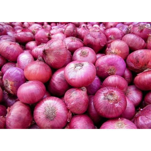 we have fresh harvests of red and yellow onions, Caliber: 55+ contact directly, call: email: wechat: omarkjerry0