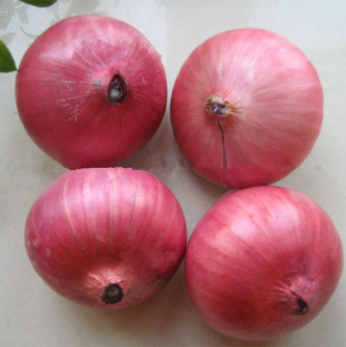 we have fresh harvests of red and yellow onions, Caliber: 55+ contact directly, call: email: wechat: omarkjerry0