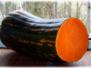 Langer of Naples pumpkin
