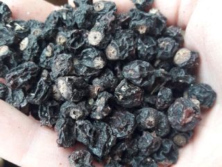 I have for sale about 1000 kg of dried