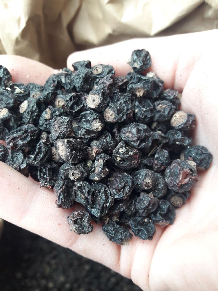 I have for sale about 1000 kg of dried blackcurrant