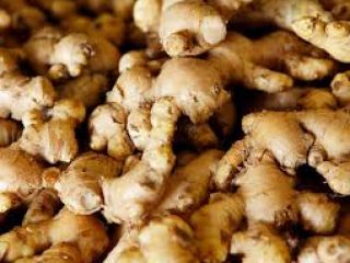 Nigerian ginger has huge export potential and is thus