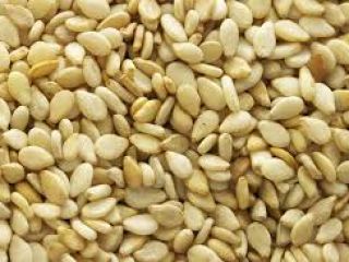 High quality Soyabean, Groundnut, and Sesame seeds available. For