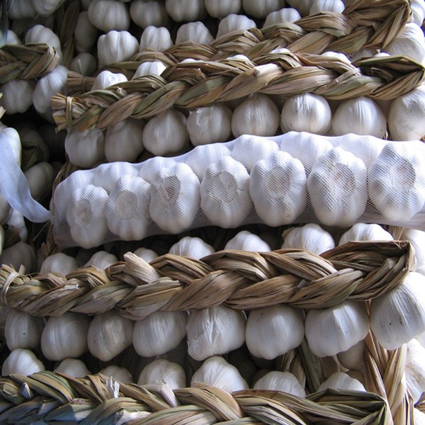 ROX LLC has been over 20 years experience in packing,storaging and exporting fresh vegetable and fruits,such as garlic,ginger,potato,carrot,taro,onion,fuji