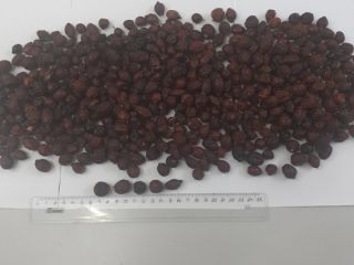 Dried masks in large quantities. We deliver to any