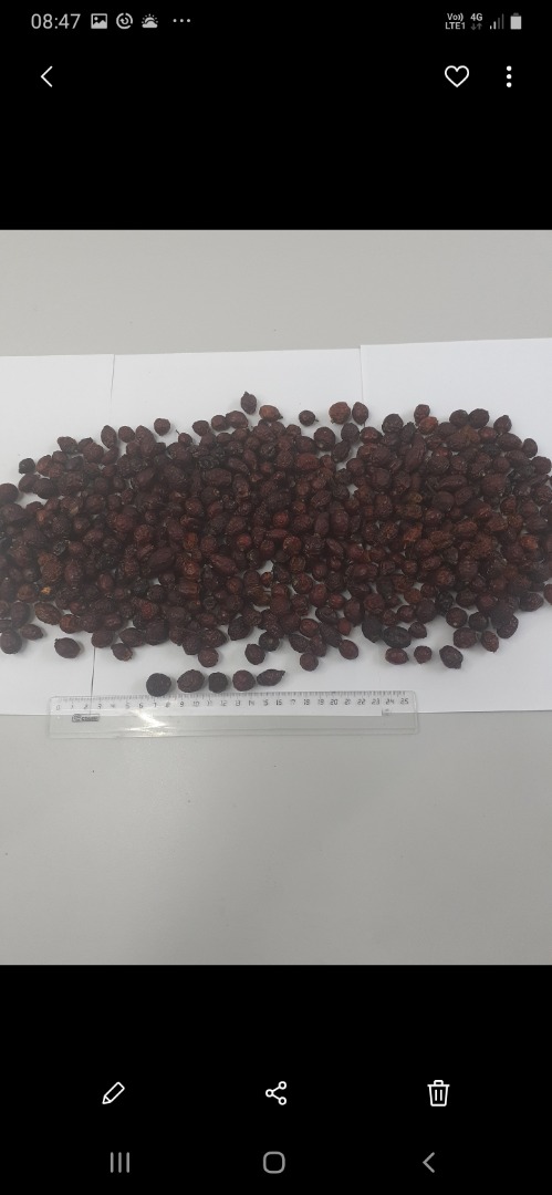 Dried masks in large quantities
