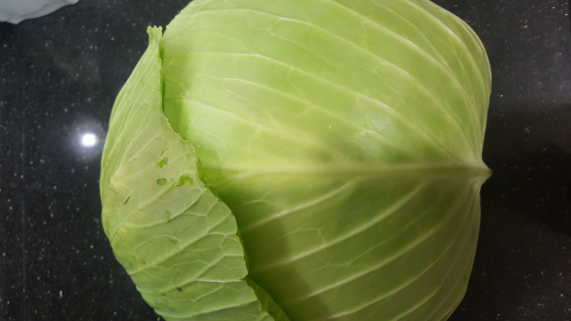 Located in Canakkale (North-Western part of Turkey), about 600 tons of white fresh cabbage still growing in the field are available from mid-February till