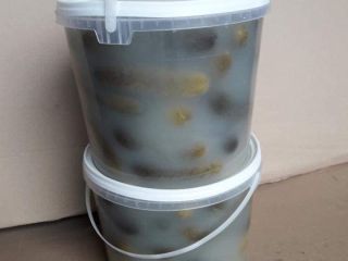 Cucumbers come from their own plantation pickled in barrels