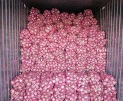 we have fresh harvests of red and yellow onions, Caliber: 55+ contact directly, call: email: wechat: omarkjerry0