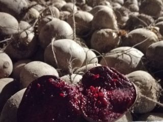 I will sell red beetroot