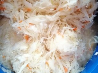 Sauerkraut white and red natural ways only on salt