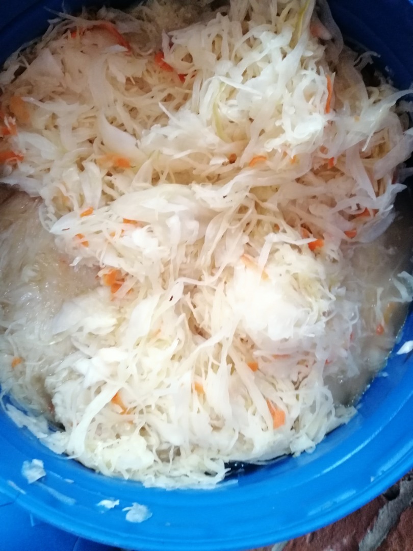 Sauerkraut white and red natural ways only on salt