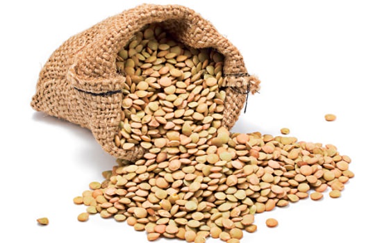 I buy lentils and beans, BULGARIAN production