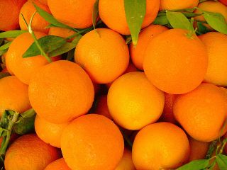 I buy oranges and organic tangerines, recently picked from