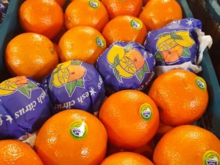 I will sell oranges, country of origin Iran. Packaging