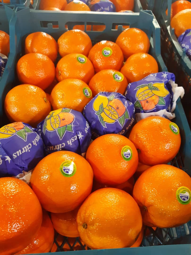 I will sell oranges, country of origin Iran