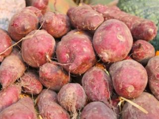 Sweet potatoes are highly nutritious and a great source