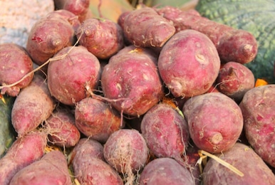 Sweet potatoes are highly nutritious and a great source of fiber, vitamins, and minerals