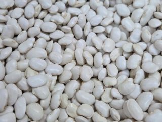 I am selling wholesale quantities of Jaś Karłowy beans,