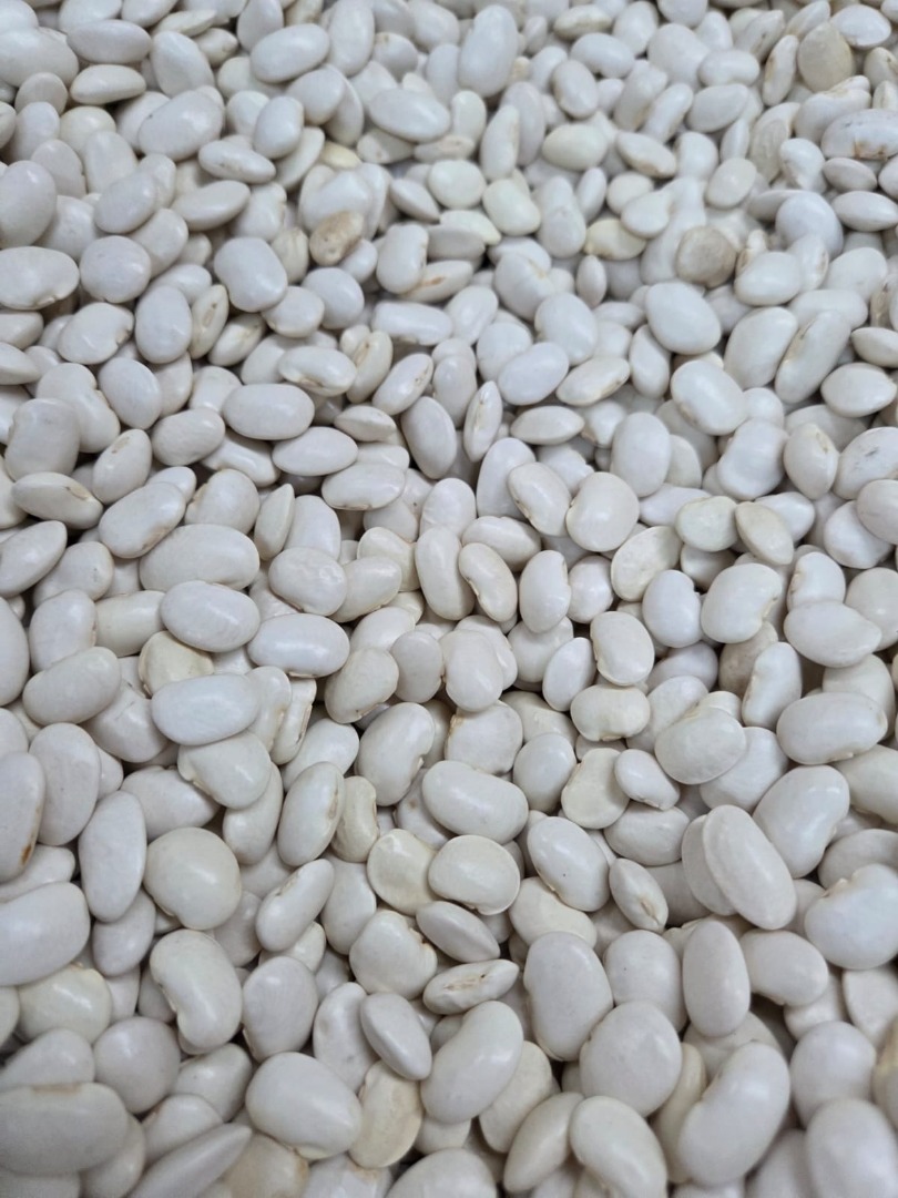 I am selling wholesale quantities of Jaś Karłowy beans, 100/135 pcs/100g