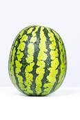 We have Water Melon Hybrid Variety Ready to Harvest/Yield