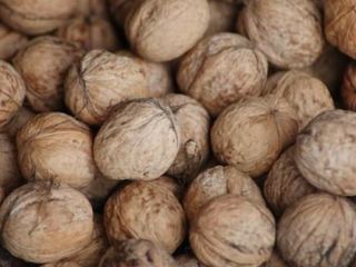 I sell nuts in the shell- € 2.50 /